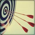 Archery Master - Bow & Arrow M