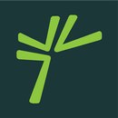 MAESTRA-APK