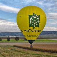 Montgolfières champenoises Affiche