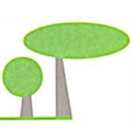 OLGREEN