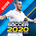 Tips and Guide for Dream Winner Soccer