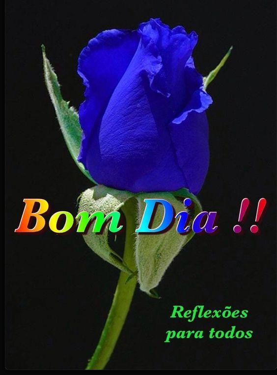BOM DIA GIF APK pour Android Télécharger BOM DIA GIF APK pour Android Télécharger