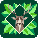 Natureza e vida selvagem APK