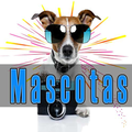 Mascotas Cuidados y Guías