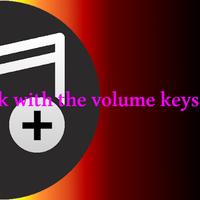 Volume Key Skip Track تصوير الشاشة 1