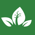 Mashtal.qa | Online Garden Centre in Qatar.