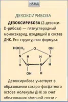 Словарь биологических терминов ảnh chụp màn hình 1