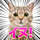 APK よく見ると変な画像