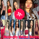 Musically Videos Status APK