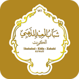 SEZ Classified icon