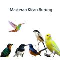 Masteran Burung Lengkap Offlin