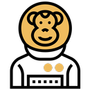 Master Looks APK