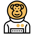 Master Looks simgesi