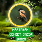 Masteran Cendet Gacor Juara ikona