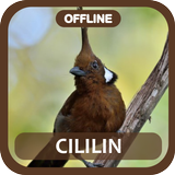 Masteran Cililin Juara Offline Zeichen