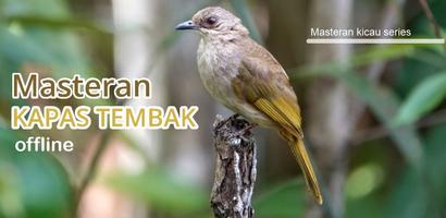 Masteran kicau kapas tembak Ekran Görüntüsü 2