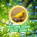 Masteran Kenari Gacor Juara আইকন