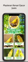 Masteran Kenari Gacor Juara পোস্টার