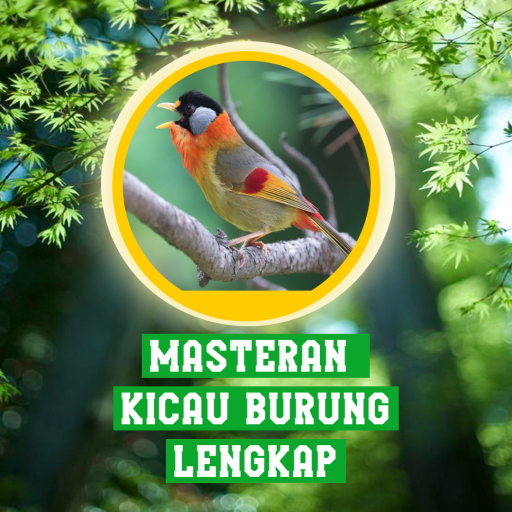 Masteran Kicau Burung Lengkap