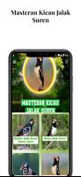 Masteran Kicau Jalak Suren Plakat