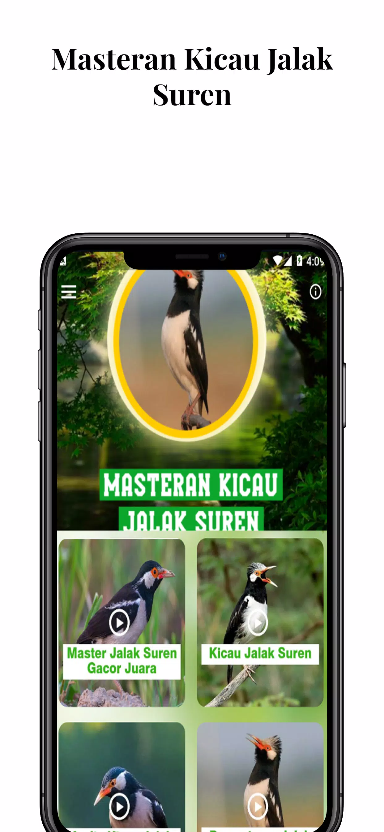 Masteran Kicau Jalak Suren APK for Android Download