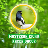 Masteran Kicau Burung Kacer icon