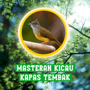 Masteran Kicau Kapas Tembak APK