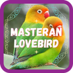 ”Masteran Lovebird Ngekek