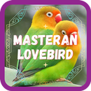 Masteran Lovebird Ngekek APK