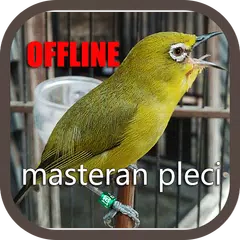 Masteran Pleci Ngalas Ngerol APK download