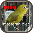 Masteran Pleci Ngalas Ngerol APK