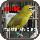 Masteran Pleci Ngalas Ngerol simgesi