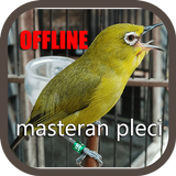Masteran Pleci Ngalas Ngerol icon
