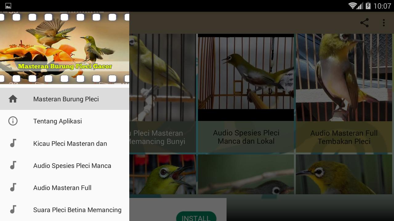 Masteran Burung Pleci Gacor For Android Apk Download