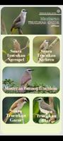 Masteran Trucukan Gacor Plakat