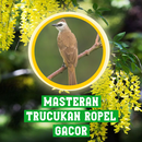 Masteran Trucukan Ropel Gacor APK