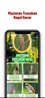 Masteran Trucukan Ropel Gacor Plakat
