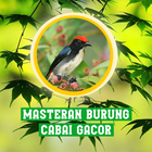 Masteran Burung Cabai Gacor icône