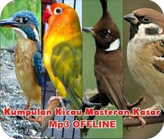 Masteran Kicau Kasar Mp3 Offline poster