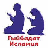 Гыйбадат Исламия. Основы Ислам icon