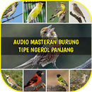 Audio Masteran Burung Tipe Ngerol Panjang APK