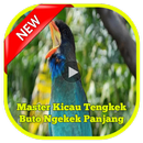 Master Kicau Tengkek Buto Ngekek Panjang APK