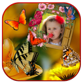 Butterfly Photo Frames