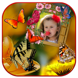 Butterfly Photo Frames 图标