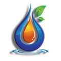 Mast Oil (the oil for healthy life)