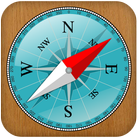Compass Coordinate icône