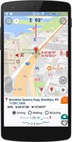 Compass Coordinate Premium скриншот 3