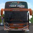 Bus Simulator X Tuan Muda