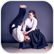 ”Aikido MA