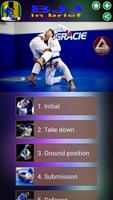 BJJ in brief Poster